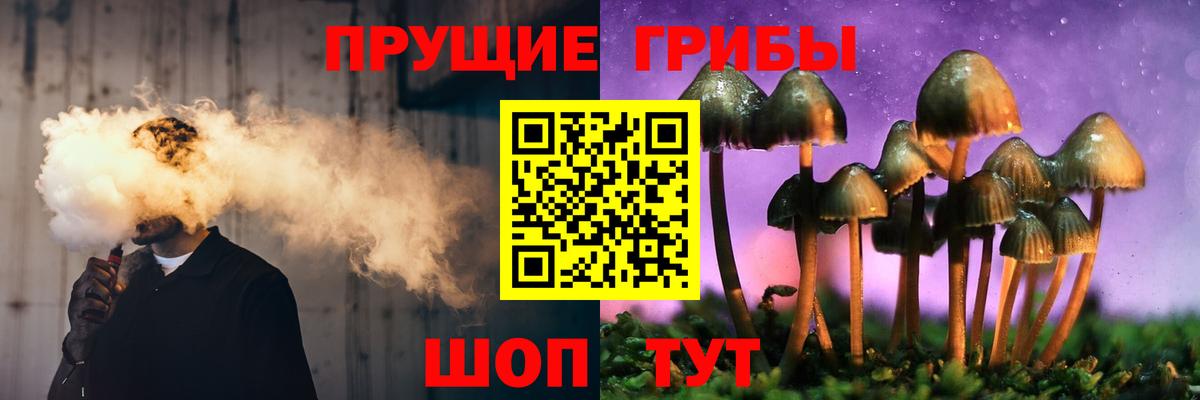Псилоцибиновые грибы прущие грибы  Вход с VPN  Железноводск 